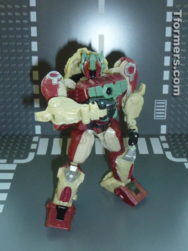 BotCon 2014 - Photos of Knights 3-Pack with Alpha Trizer
